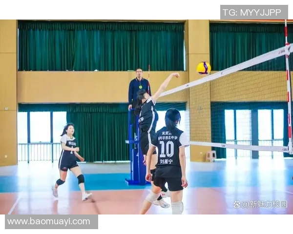 南京排球队实力飙升创历史新高助力排球力量排名再攀高峰