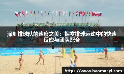 DG视讯