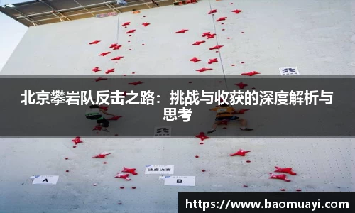 DG视讯