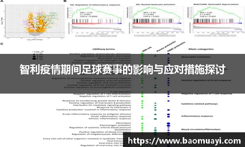 智利疫情期间足球赛事的影响与应对措施探讨
